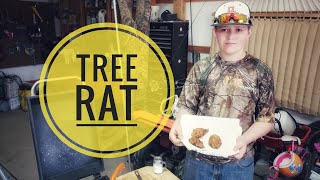 Tree Rat Squirrel Catch And Cook