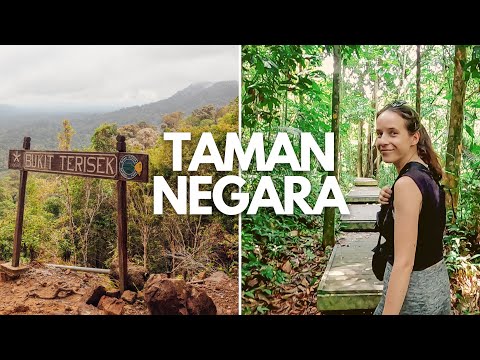 Vidéo: Taman Negara en Malaisie : le guide complet