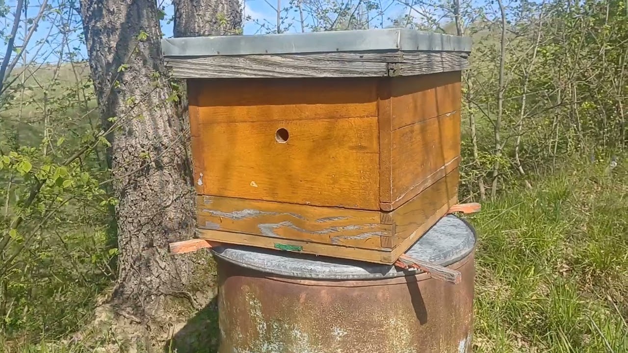 Zamka za rojeve 2025. - teoretski i praktično primjenjivo.