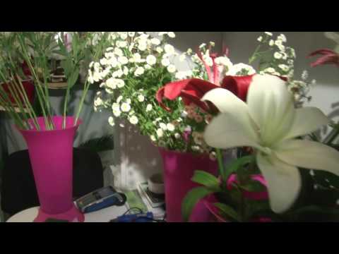 იკიბანას დამზადება