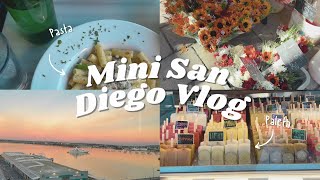 Mini ASMR San Diego Vlog 🧸🍓