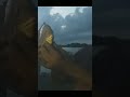 AHB FISHING #YOUTUBE #FISHING BIG tiger pamplat full video in description