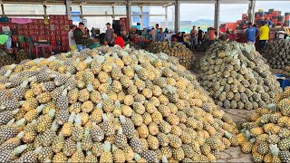 ABACAXI DE R$ 1,00 SÓ NA CEACA EM CARUARU-PE. OLHA ISTO BRASIL!