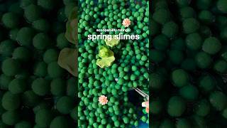 Spring Scoopability Spring Drop at 3 PM PST