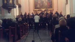 The Lion Sleeps Tonight - Pjevački Zbor Đuro Prejac Desinić