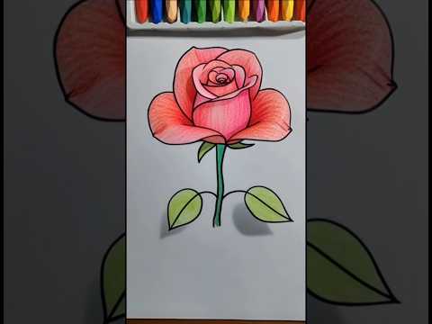ارسموا الوردة بالطريقة الصحيحة رسم رسمتي رسم سهل     