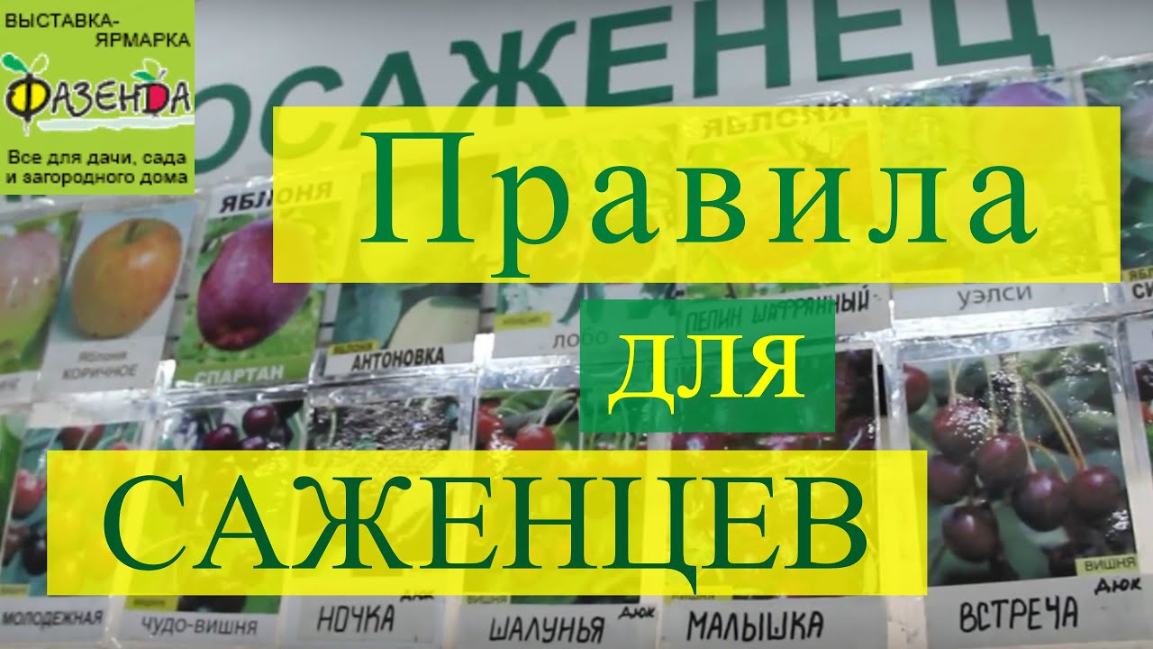 Правила для саженцев плодово-ягодных. Ответ специалиста.