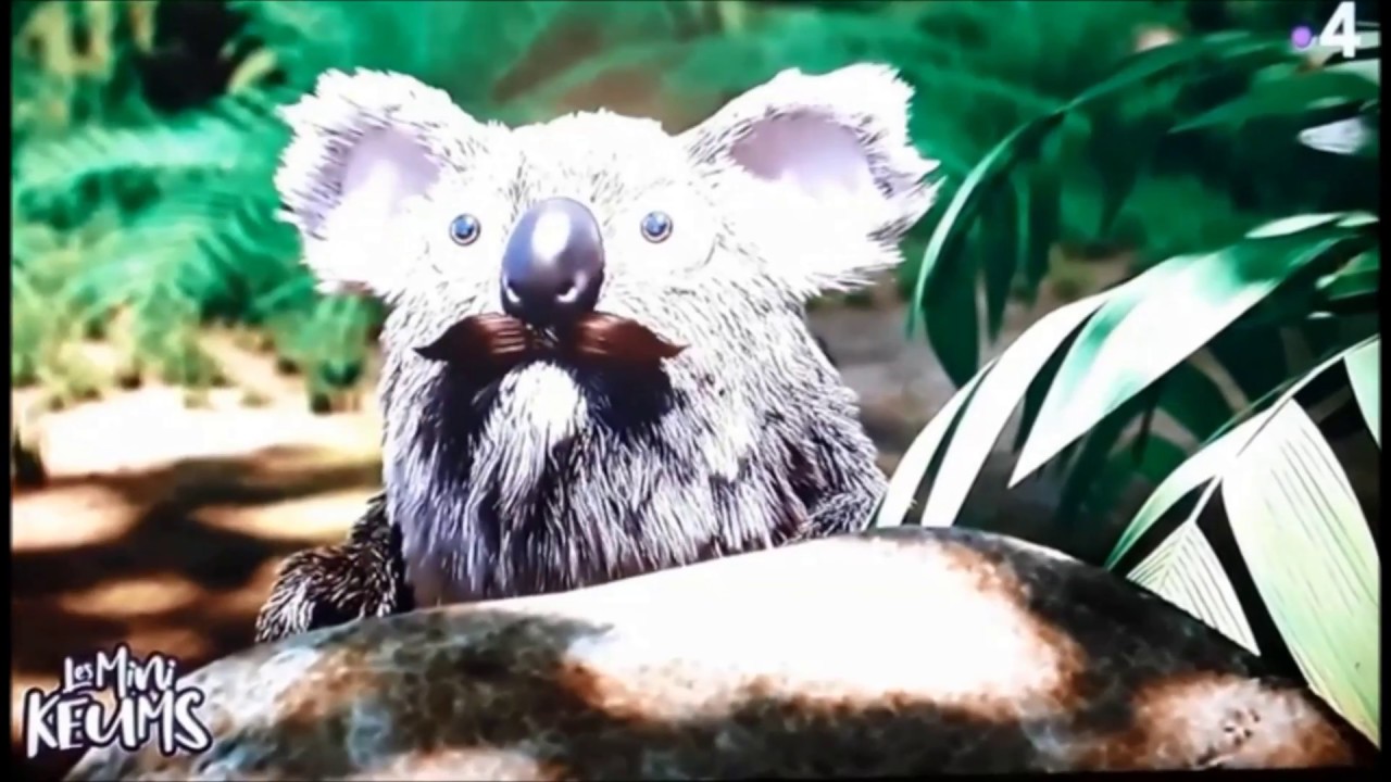 LES AS DE LA JUNGLE OH LA BOULETTE YouTube les-as-de-la-jungle-oh-la-boulette-youtube