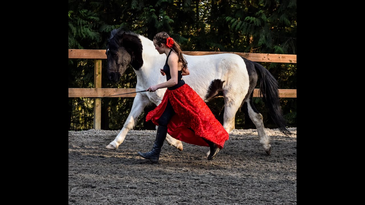 Horse Riding and Liberty Performance [Flamenco Inspired] YouTube