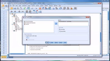 The "Rank Cases" Feature in SPSS