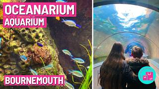 Discover the Wonders of Bournemouth Oceanarium!