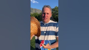 BYU CS Fall 2024 Semester Recap