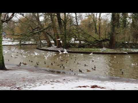 საშობაო მგზაურობა ამსტერდამში