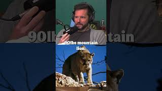 Mountain Lion Kills Man in California