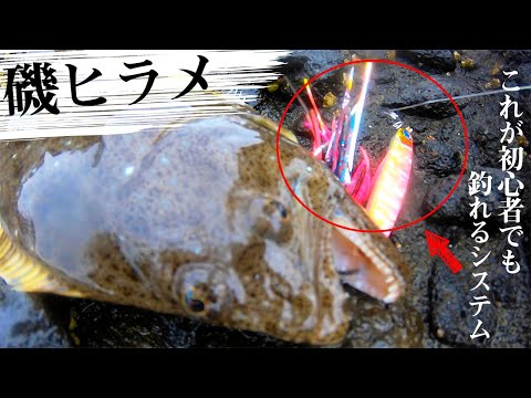積丹方面海釣り ヒラメ初心者でも釣れる 話題のタコベイト Youtube 積丹方面海釣り ヒラメ初心者でも釣れる 話題のタコベイト Youtube