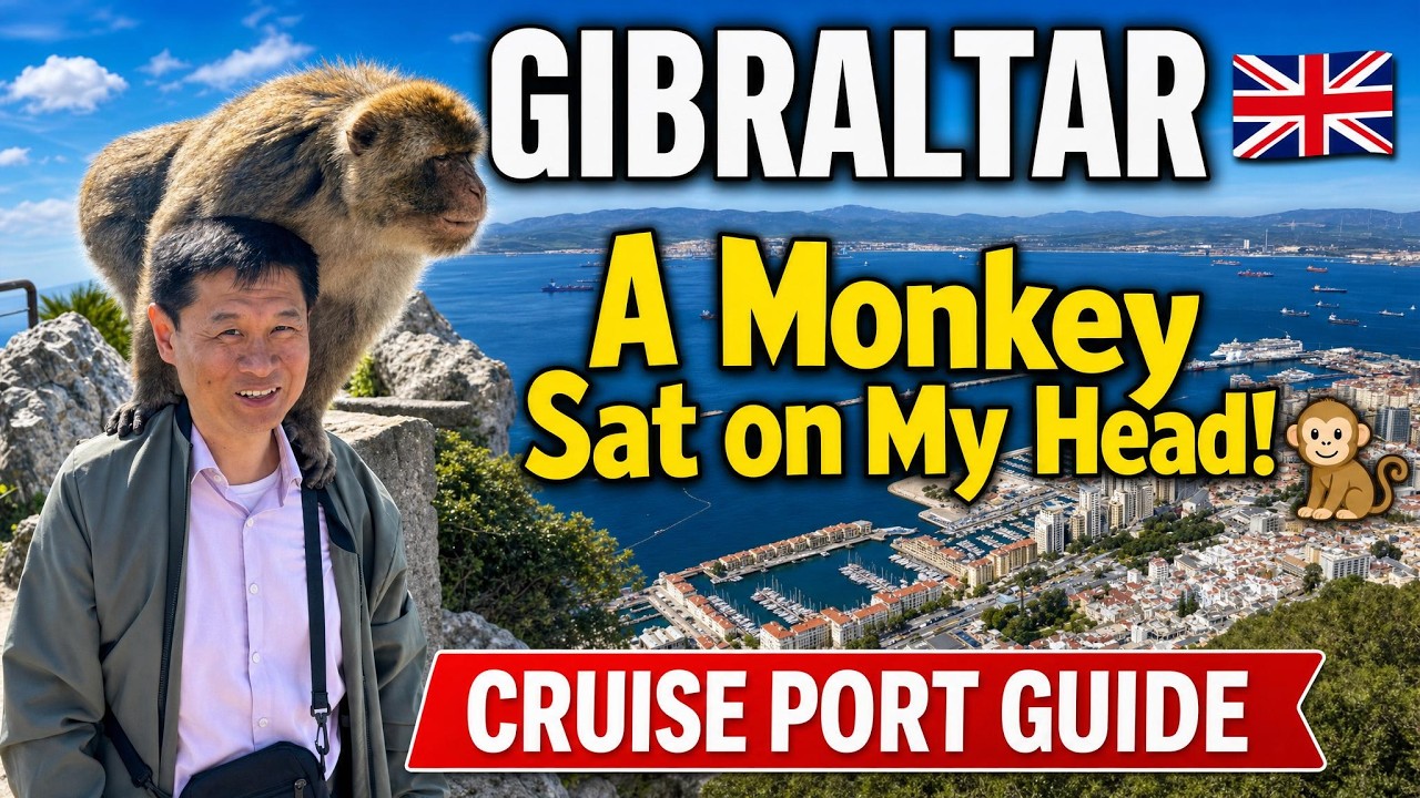 Gibraltar in 6 Hours: The Rock, Wild Monkeys & Caves from a Cruise Ship