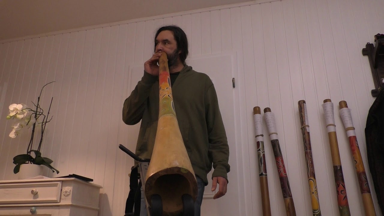 Eukalyptus Didgeridoo DEB6