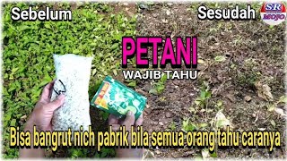 Obat pembasmi rumput liar/gulma paling ampuh#obatpembasmirumput#obatrumput#petani#obat#tutorial
