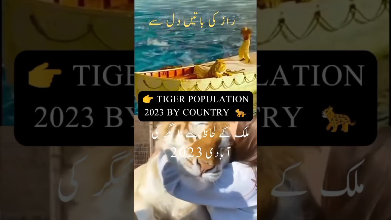 👉 TIGER POPULATION 2023 BY COUNTRY 🐆 #Shortsfeed #piaaryadil #tiger #islam