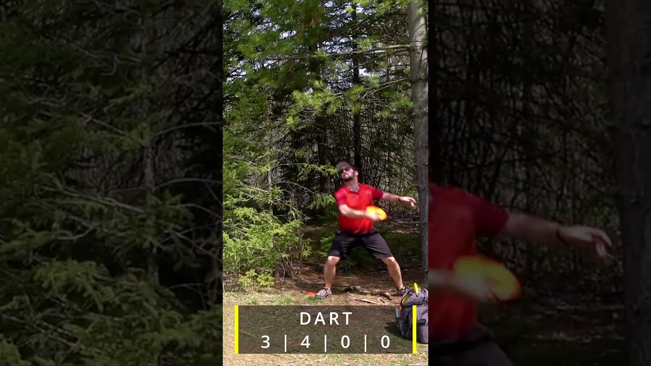 The Innova Dart Loves to Hit the Mark!