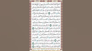 صفحة 31 سورة البقرة بدوت صوت للقراءة والحفظ #الورد_اليومي = الحج أشهر معلومات فمن فرض فيهن الحج فلا
