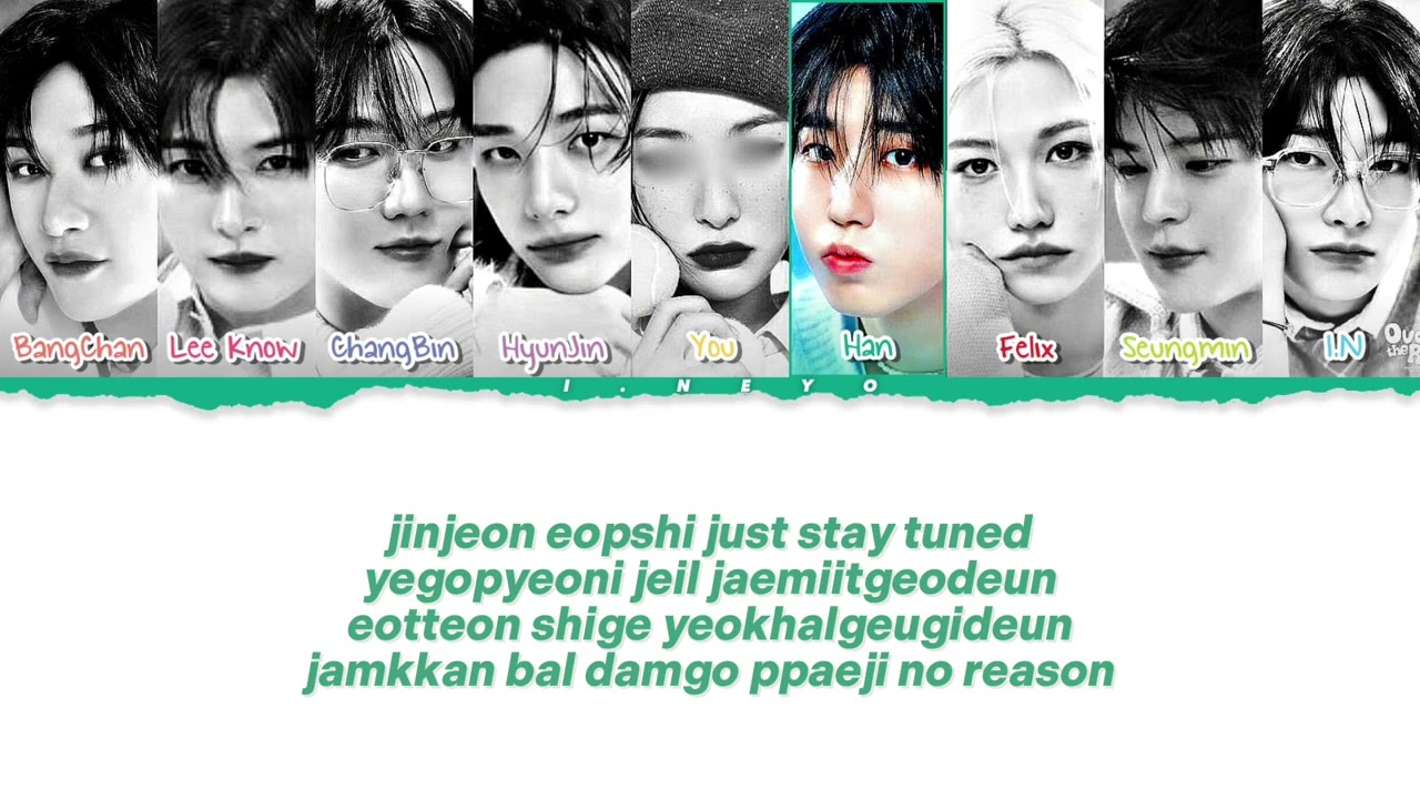 I Like It - Stray Kids & You are Member (Karaoke) Color coded