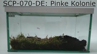 SCP-070-DE: Pinke Kolonie | Deutsch/German