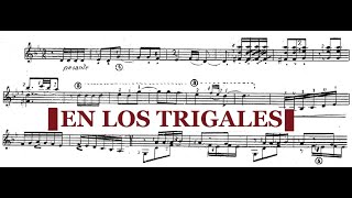 Rodrigo  En los Trigales - Horst Klee, Guitar