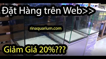 [[ Hướng Dẫn ]] Lựa Chọn Size "Bể Cá Biển" Cơ Bản Cho Ae Newbie!!!