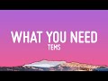 Tems What You Need Lyrics