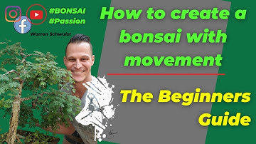 BEGINNERS GUIDE 2 BONSAI (How to Create a Bonsai with Movement) - Wiring a bonsai tree for Beginners