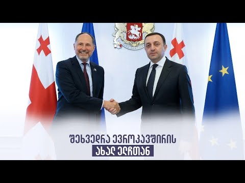 შეხვედრა ევროკავშირის ახალ ელჩთან
