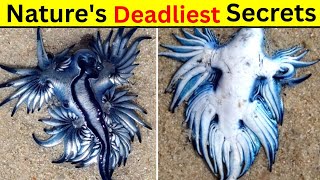 10 Real Animals with Superpowers You Won’t Believe Exist!