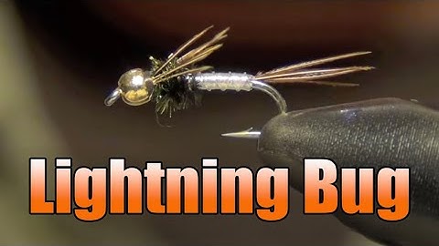 Lightning Bug Nymph - Great Beadhead Attractor Style All Purpose Nymph