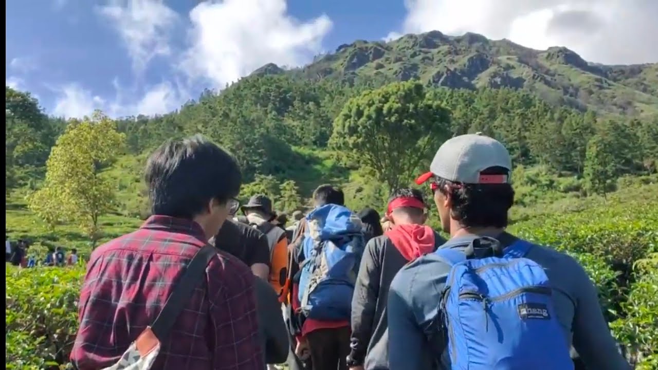 1001-pendaki-tanam-pohon-sektor-promasan-2020-youtube