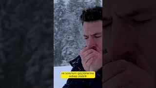 Dayanamıyorum - Soğuk Hava