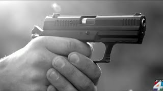 Alarming number of guns stolen in car break-ins