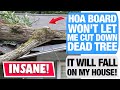 r/JustnoHOA - Board Threatens Lawsuit If I Remove Dead Tree?!