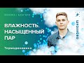 Физика ИЗИ ЕГЭ. Влажность. Насыщенный пар