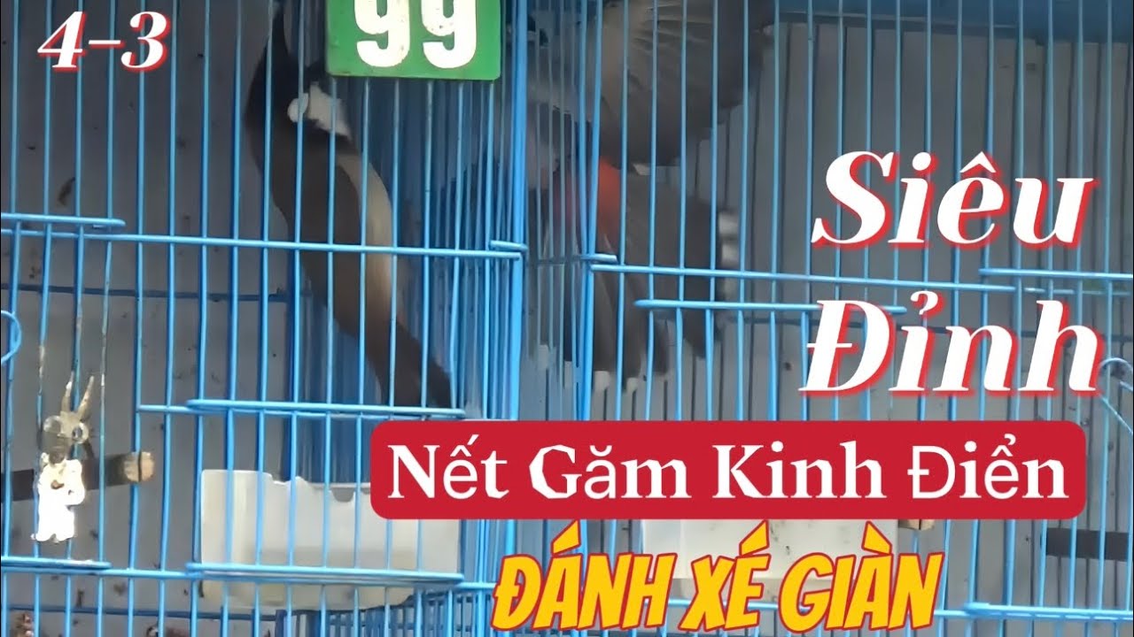 HÀNG HIẾM SIÊU ĐỈNH-Nết Găm Kinh Điển/ Chơi Cánh Bướm Đánh Xé Nát Giàn//Lắc Giật Như Máy 4.3