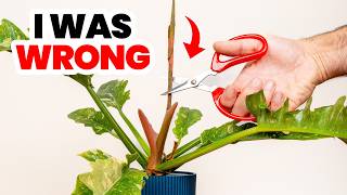 Why I Stopped Recommending This For Your Plants