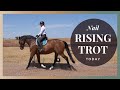 Posting Trot | Rising Trot