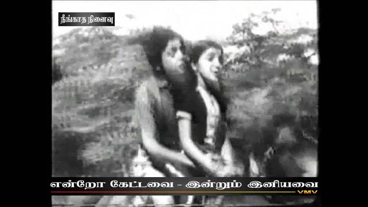 TAMIL OLD SONG  Oh chinnanjiru malarai maranthu vidathevMv  NEENGATHA NINAIVU