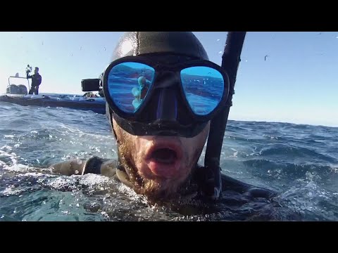Video: Hvaler Med Ben Lærte å Svømme Alle Hvaler - Alternativt Syn