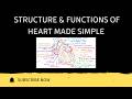 Structure &amp; Functions of Heart | Labelled Diagram Step by Step | One Function Each | HAP-1