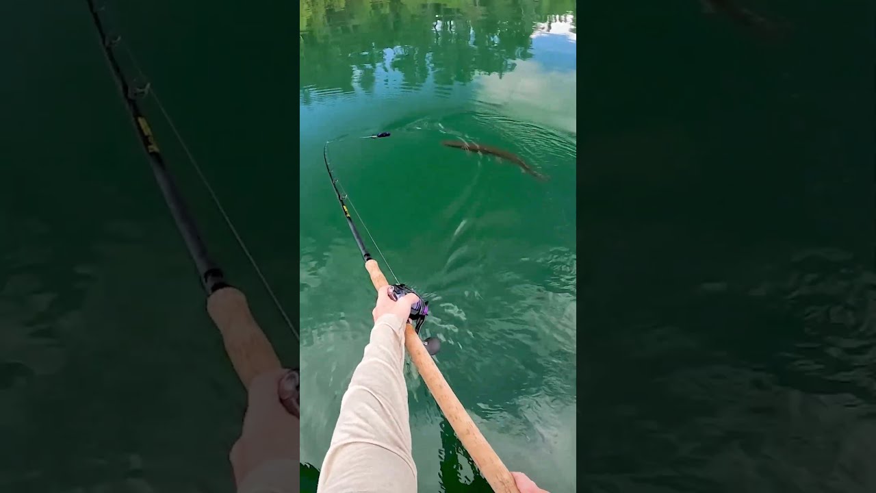 Clearest Lake In The World Fishing Musky Figure8