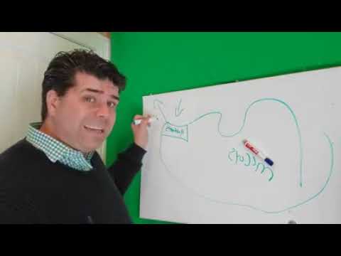 Professor Toto Explains ISRAEL & THE PALESTENIAN c...