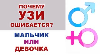 Можно ли доверять узи? Пол ребенка. Ошибки на УЗИ у беременных. Мальчик или девочка.