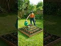 From Seedlings to Harvest 🌱 5-Tier Garden Timelapse