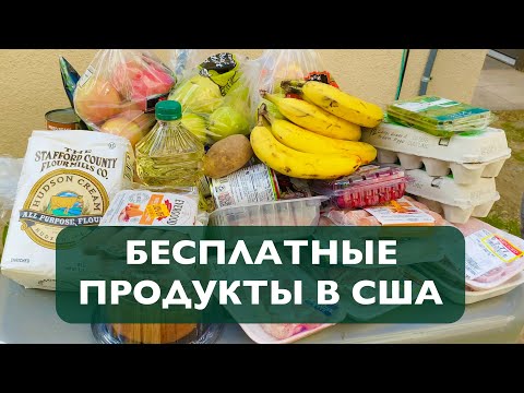 Бесплатные продукты в США | Food Bank